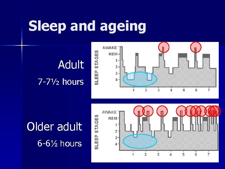 Sleep and ageing Adult 7 -7½ hours Older adult 6 -6½ hours 