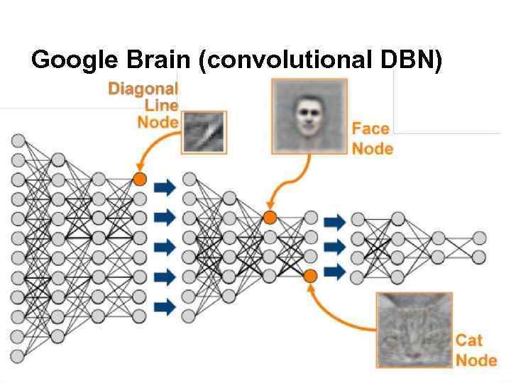 Google Brain (convolutional DBN) 