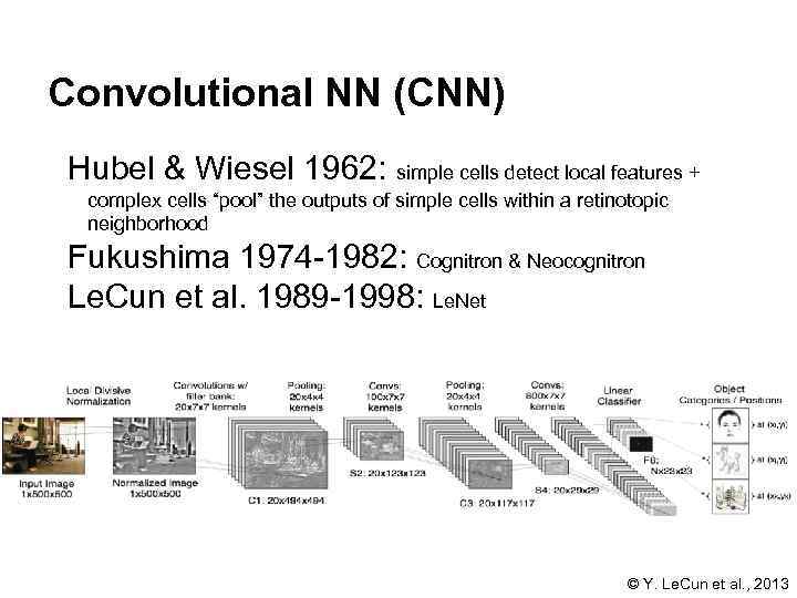 Convolutional NN (CNN) Hubel & Wiesel 1962: simple cells detect local features + complex