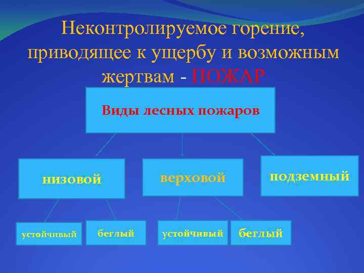 Неконтролируемое горение, приводящее к ущербу и возможным жертвам - ПОЖАР Виды лесных пожаров низовой