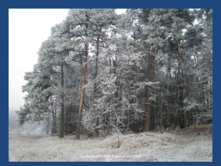 Ситников М. И. МОУ Назаровская ООШ 2011 г. 