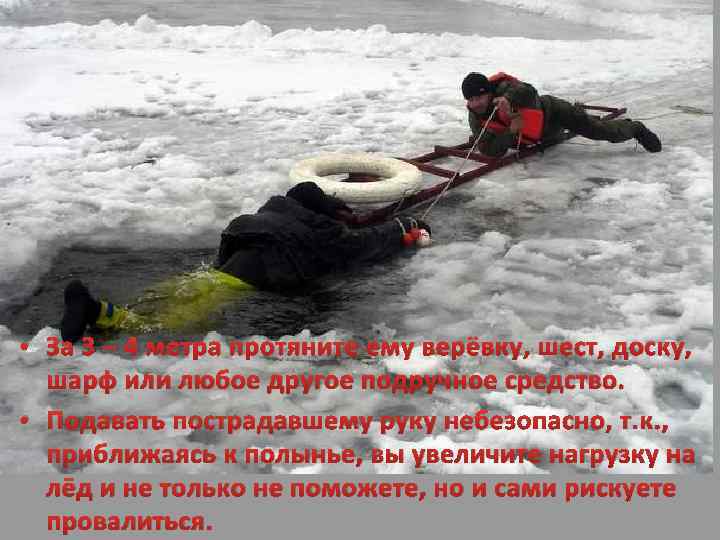  • За 3 – 4 метра протяните ему верёвку, шест, доску, шарф или