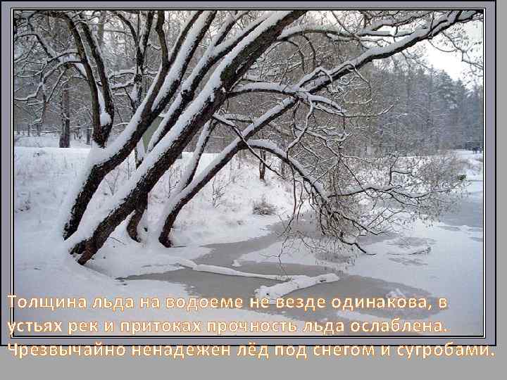  Толщина льда на водоеме не везде одинакова, в устьях рек и притоках прочность