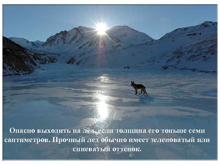 Опасно выходить на лёд, если толщина его тоньше семи сантиметров. Прочный лед обычно имеет