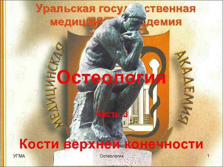 Уральская государственная медицинская академия Остеология Часть 3 Кости верхней конечности УГМА Остеология 1 