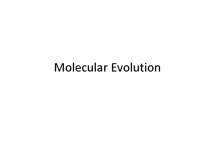 Molecular Evolution 