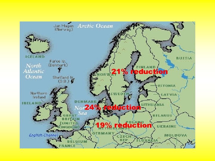 21% reduction 24% reduction 19% reduction 