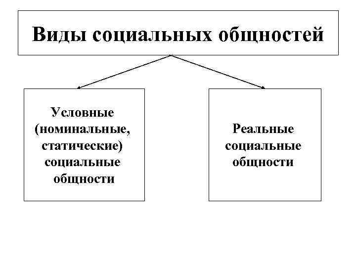 Виды социальных общностей Условные (номинальные, статические) социальные общности Реальные социальные общности 