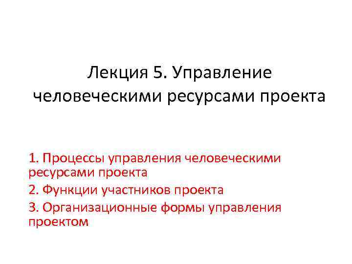 Основные проблемы управления человеческими ресурсами проекта