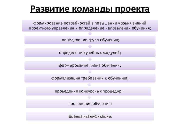 Развитие команды проекта формирование потребностей в повышении уровня знаний проектного управления и определение направлений