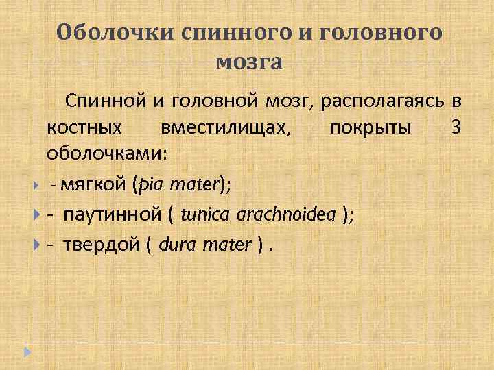 Оболочки спинного и головного мозга Спинной и головной мозг, располагаясь в костных вместилищах, покрыты