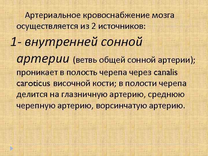 Артериальное кровоснабжение мозга осуществляется из 2 источников: 1 - внутренней сонной артерии (ветвь общей