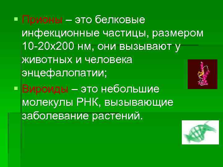 § Прионы – это белковые инфекционные частицы, размером 10 -20 х200 нм, они вызывают