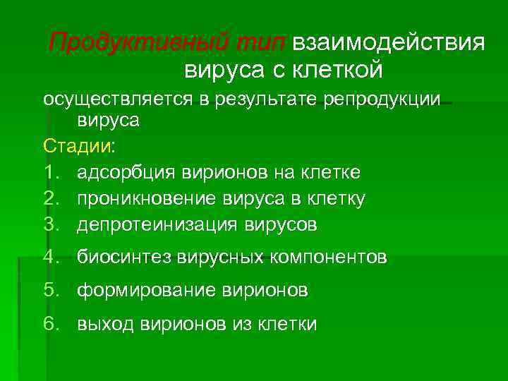 Продуктивный тип взаимодействия вируса с клеткой осуществляется в результате репродукции вируса Стадии: 1. адсорбция