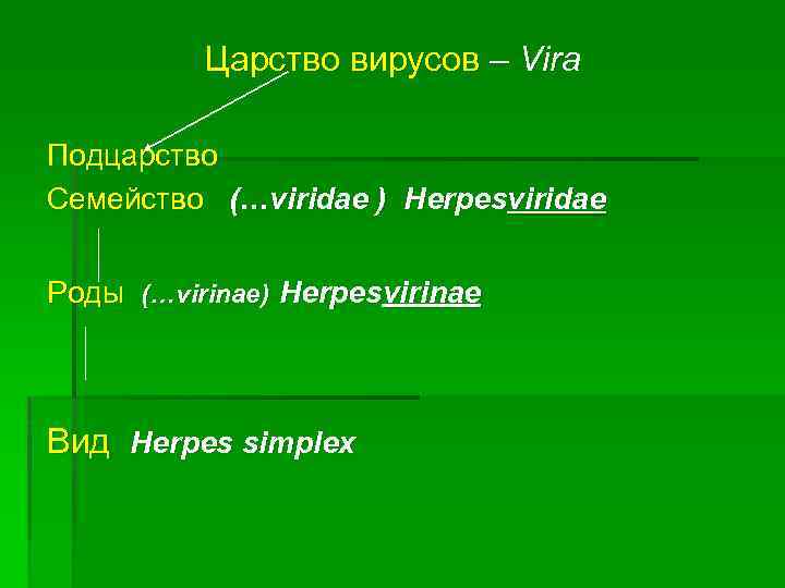 Царство вирусов – Vira Подцарство Семейство (…viridae ) Herpesviridae Роды (…virinae) Herpesvirinae Вид Herpes