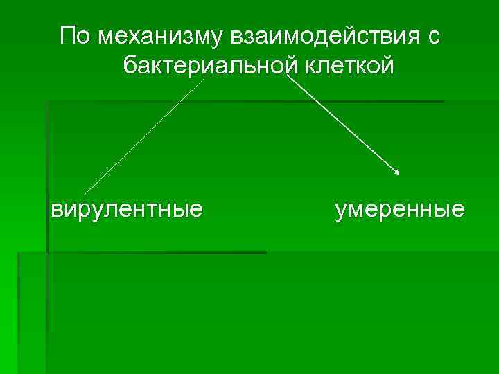 По механизму взаимодействия с бактериальной клеткой вирулентные умеренные 
