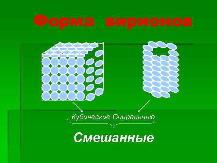 Форма вирионов Кубические Спиральные Смешанные 
