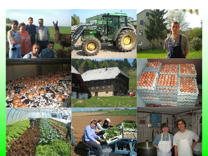 Internships in different branches 