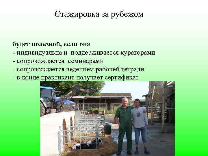 Стажировка за рубежом будет полезной, если она - индивидуальна и поддерживается кураторами - сопровождается