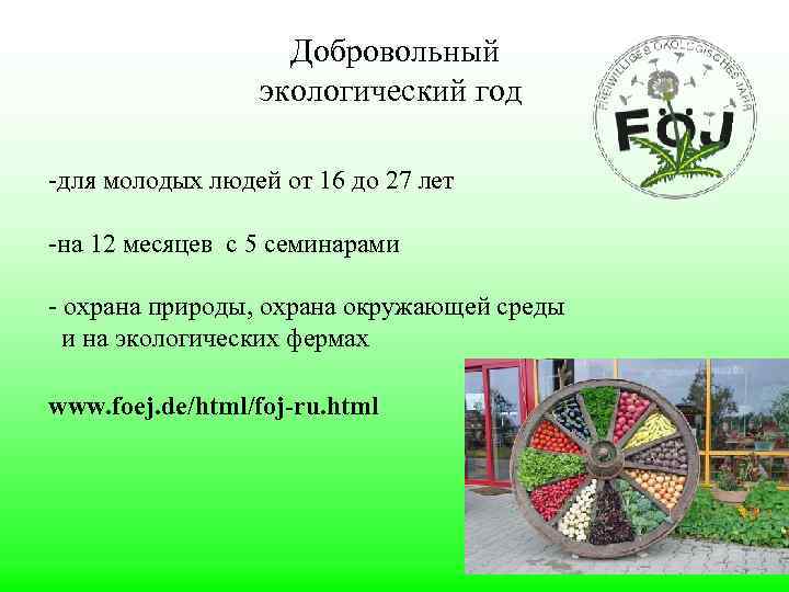 Добровольный экологический год -для молодых людей от 16 дo 27 лет -на 12 месяцев