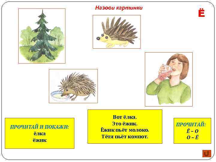Назови картинки ПРОЧИТАЙ И ПОКАЖИ: ёлка ёжик Вот ёлка. Это ёжик. Ёжик пьёт молоко.