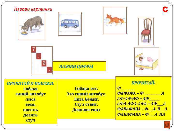 С Назови картинки НАЗОВИ ЦИФРЫ ПРОЧИТАЙ И ПОКАЖИ: собака синий автобус лиса семь восемь