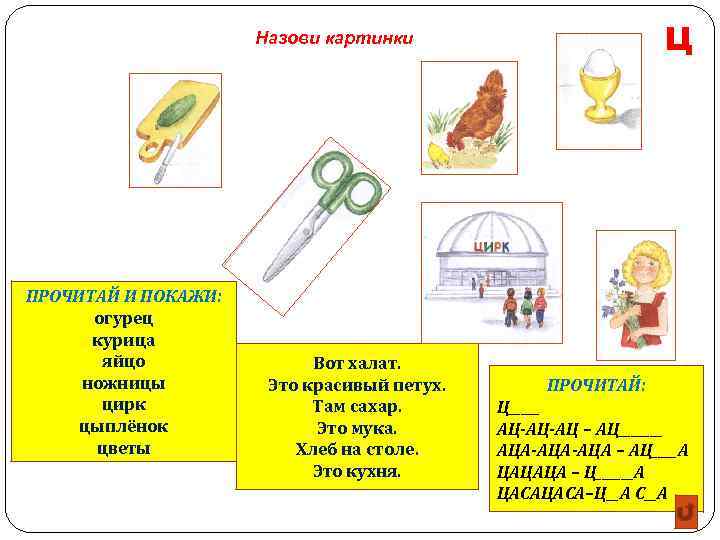 Ц Назови картинки ПРОЧИТАЙ И ПОКАЖИ: огурец курица яйцо ножницы цирк цыплёнок цветы Вот