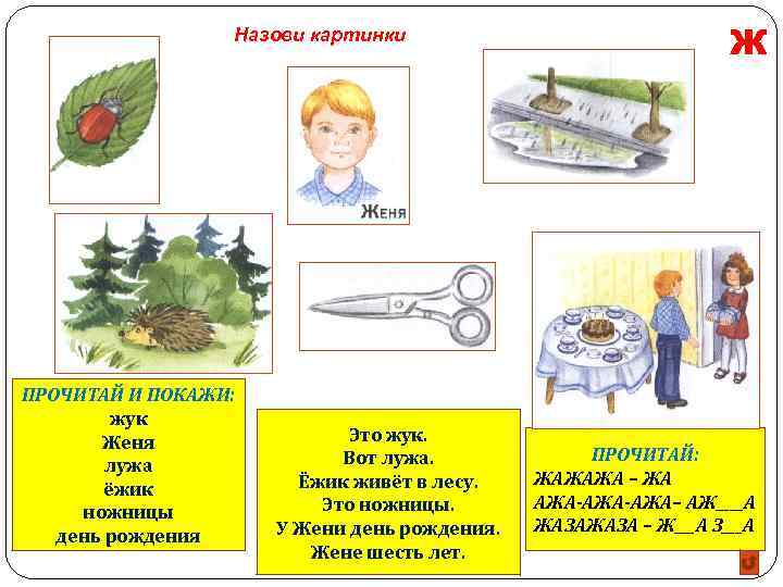 Назови картинки ПРОЧИТАЙ И ПОКАЖИ: жук Женя лужа ёжик ножницы день рождения Это жук.