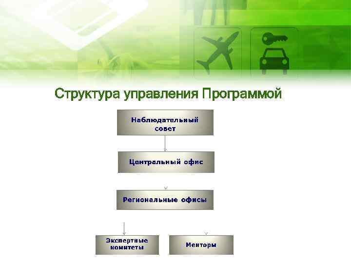 Структура управления Программой 