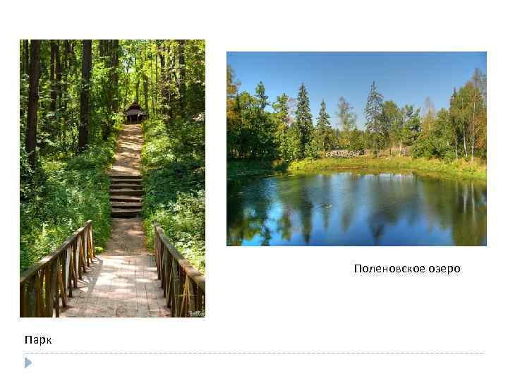 Поленовское озеро Парк 