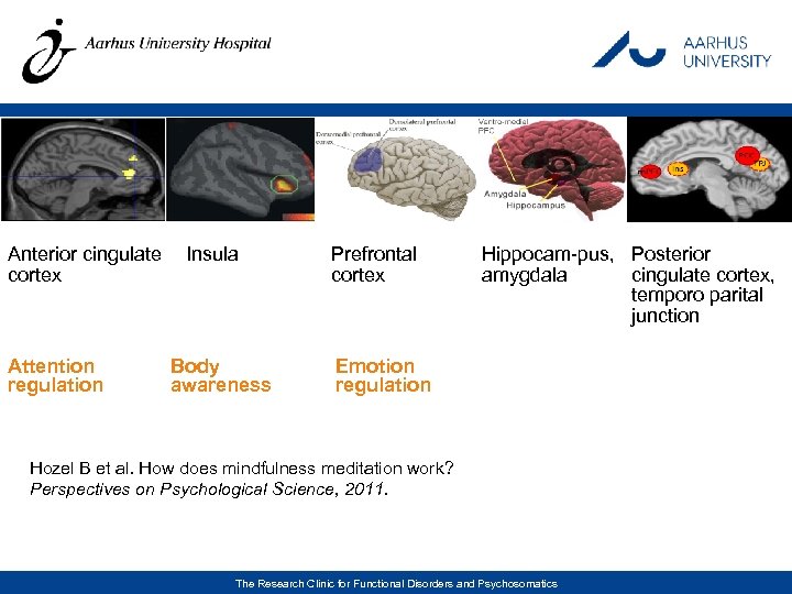 Anterior cingulate Insula cortex Attention regulation Body awareness Prefrontal cortex Hippocam-pus, Posterior amygdala cingulate