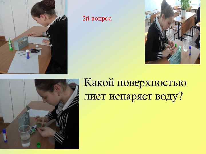 2 й вопрос Какой поверхностью лист испаряет воду? 