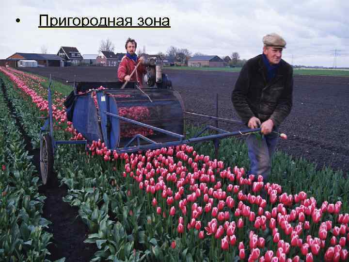  • Пригородная зона 