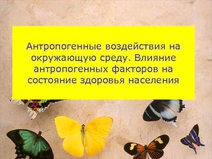 Антропогенные воздействия на окружающую среду. Влияние антропогенных факторов на состояние здоровья населения 