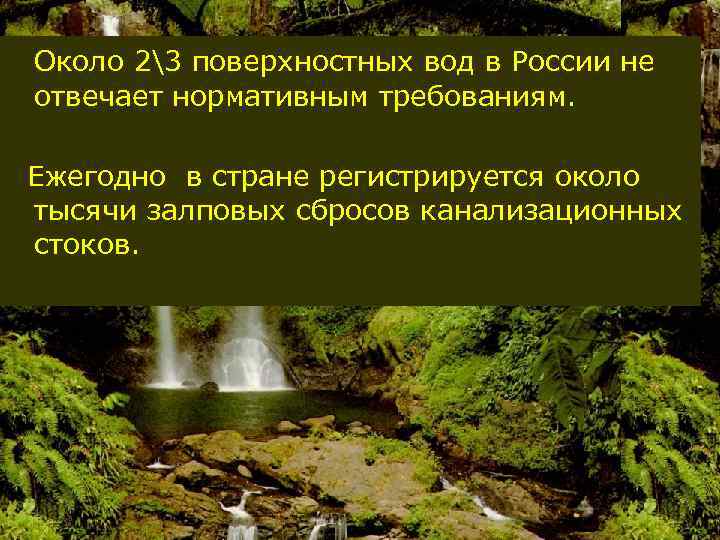 Около 23 поверхностных вод в России не отвечает нормативным требованиям. Ежегодно в стране регистрируется