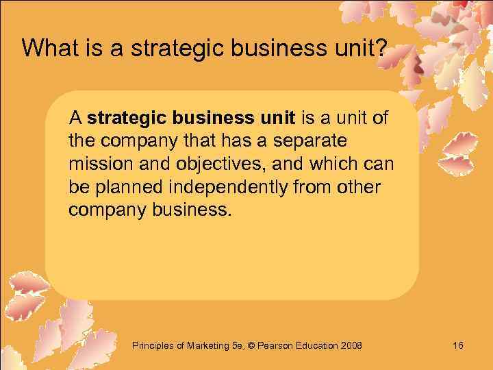 What is a strategic business unit? A strategic business unit is a unit of