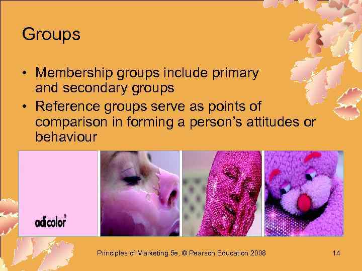 Groups • Membership groups include primary and secondary groups • Reference groups serve as