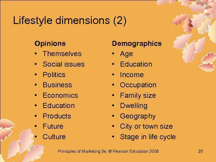 Lifestyle dimensions (2) Opinions • Themselves • Social issues • Politics • Business •