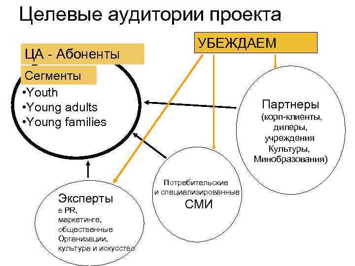 Проблема целевая аудитория решение