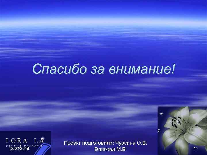 Спасибо за внимание! 12/02/2018 Проект подготовили: Чурсина О. В. Власова М. В 11 