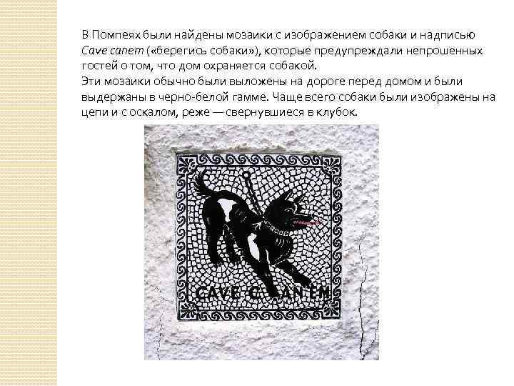 В Помпеях были найдены мозаики с изображением собаки и надписью Cave canem ( «берегись