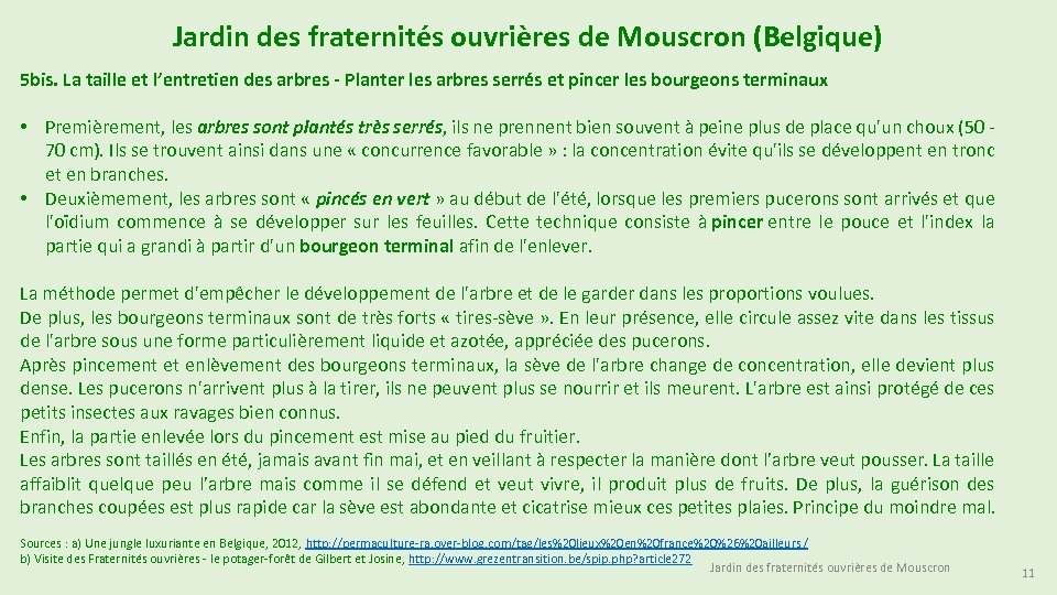 Jardin des fraternités ouvrières de Mouscron (Belgique) 5 bis. La taille et l’entretien des
