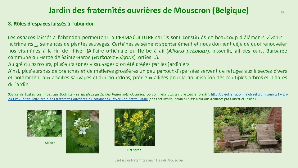 Jardin des fraternités ouvrières de Mouscron (Belgique) 14 8. Rôles d’espaces laissés à l’abandon