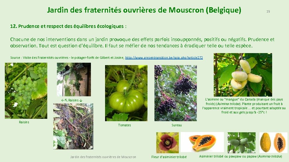 Jardin des fraternités ouvrières de Mouscron (Belgique) 19 12. Prudence et respect des équilibres