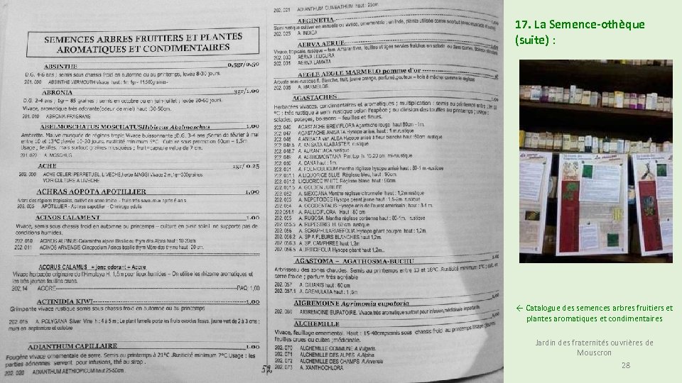 17. La Semence-othèque (suite) : ← Catalogue des semences arbres fruitiers et plantes aromatiques
