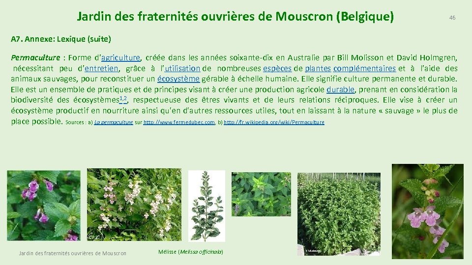 Jardin des fraternités ouvrières de Mouscron (Belgique) 46 A 7. Annexe: Lexique (suite) Permaculture