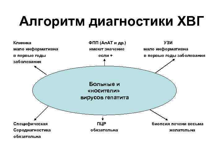 Алгоритм диагностики ХВГ Клиника мало информативна в первые годы заболевания ФПП (Ал. АТ и