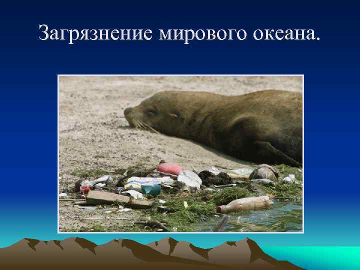 Загрязнение мирового океана. 