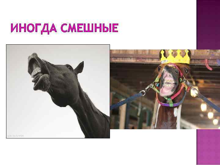 ИНОГДА СМЕШНЫЕ 