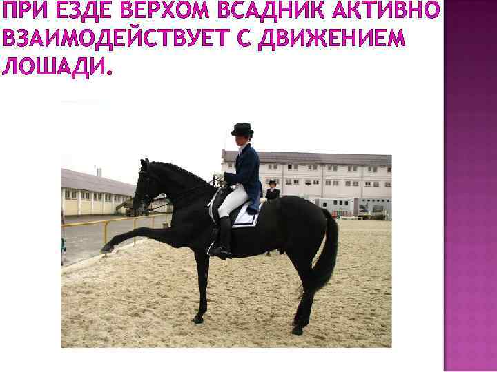 ПРИ ЕЗДЕ ВЕРХОМ ВСАДНИК АКТИВНО ВЗАИМОДЕЙСТВУЕТ С ДВИЖЕНИЕМ ЛОШАДИ. 